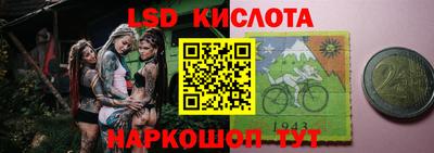 тгк Новозыбков