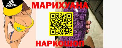 тгк Новозыбков