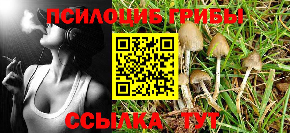 Псилоцибиновые грибы мухоморы Малгобек