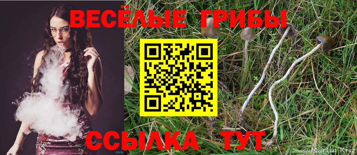Галлюциногенные грибы Psilocybine cubensis  Вход с VPN  Малгобек 